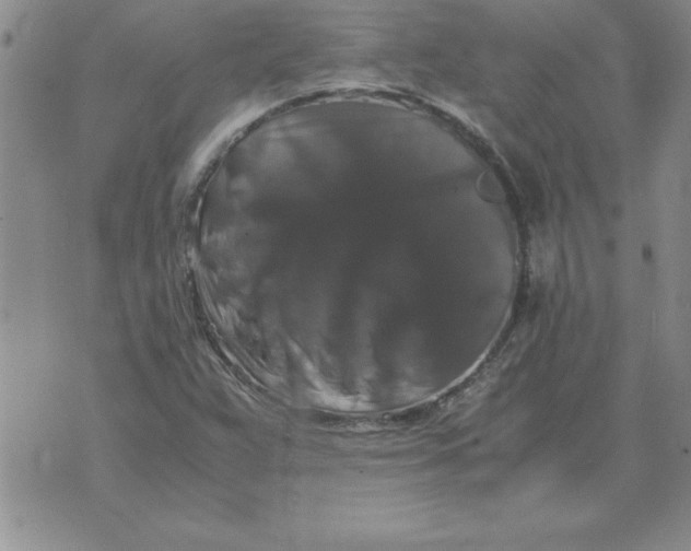 X0000071761359200607282137