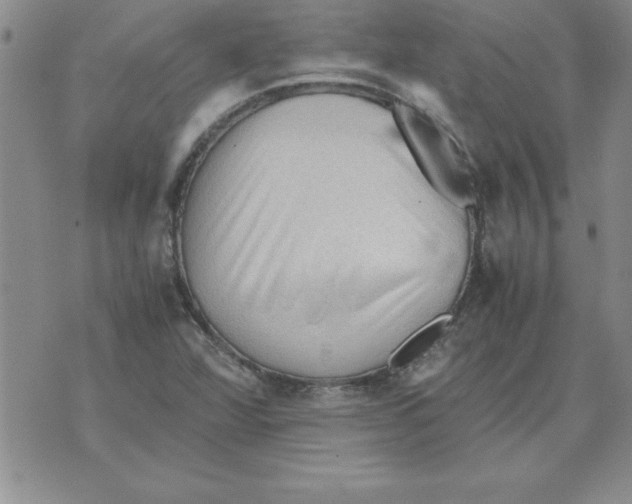 X0000071761360200607282137