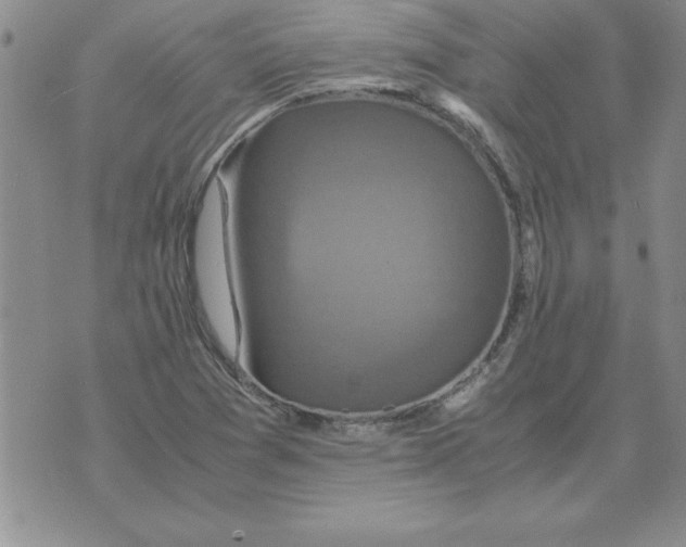 X0000071761361200607282137