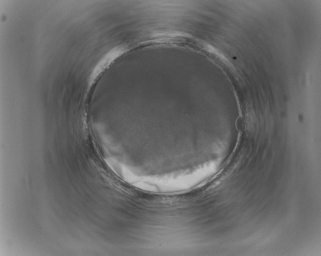 X0000071761362200607282137