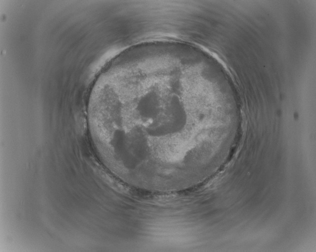 X0000071761363200607282137