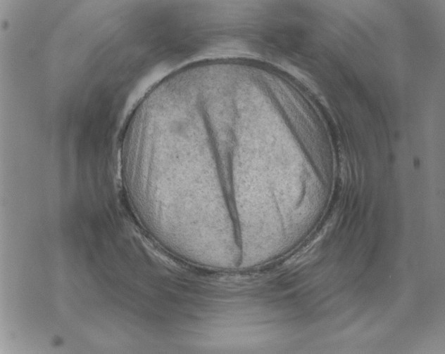 X0000071761366200607282137