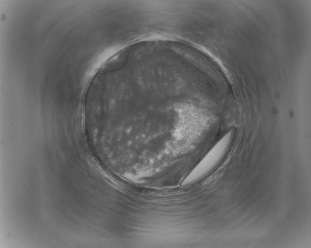 X0000071761367200607282137