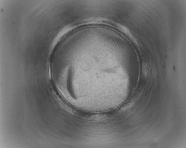 X0000071761368200607282137