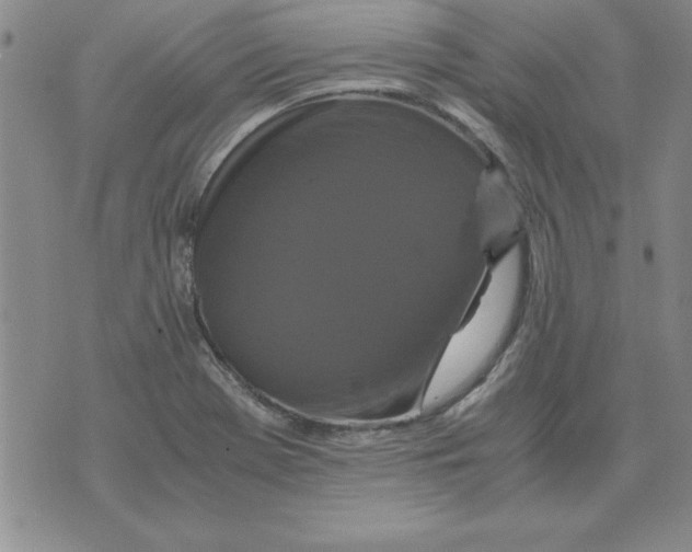 X0000071761369200607282137