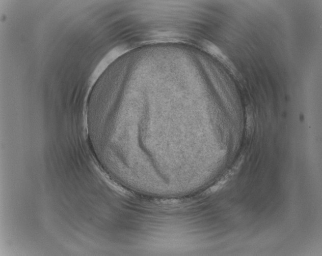 X0000071761370200607282137