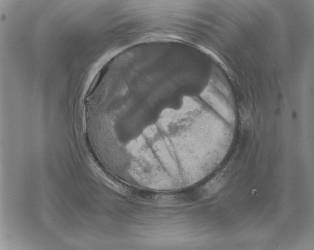 X0000071761371200607282137