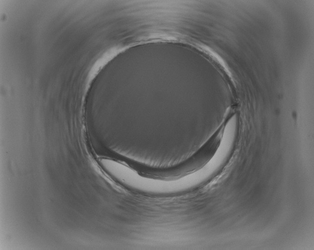 X0000071761373200607282137