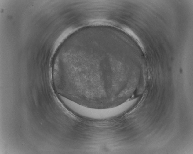 X0000071761376200607282137