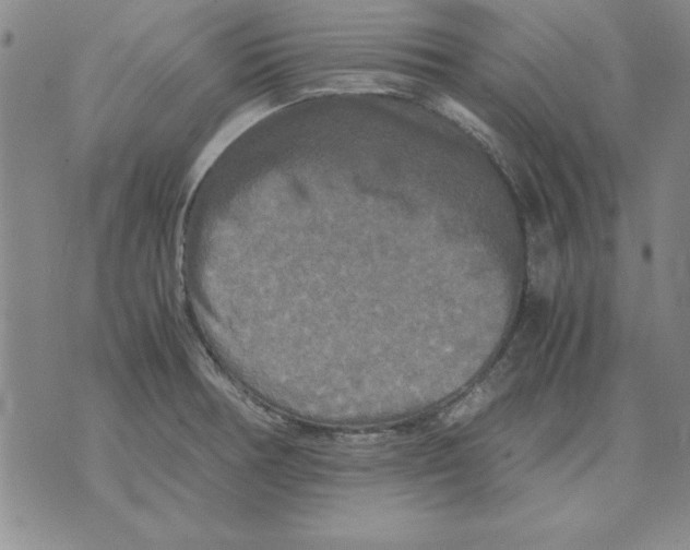 X0000071761378200607282137