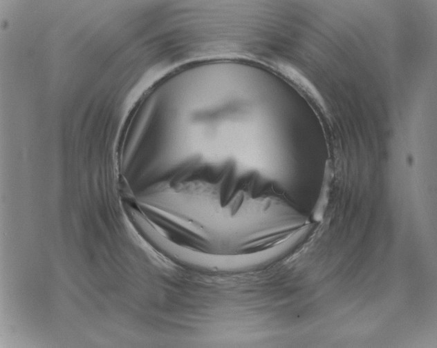 X0000071761380200607282137