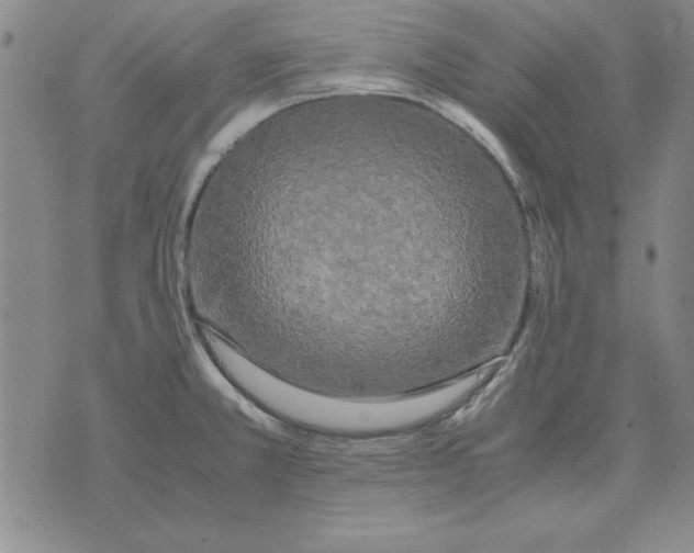 X0000071761381200607282137