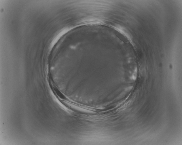 X0000071761383200607282137