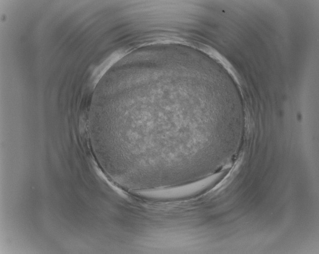 X0000071761385200607282137