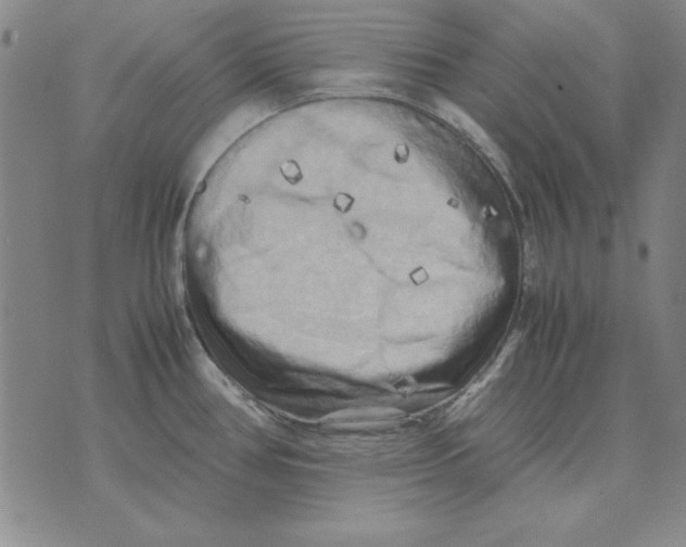 X0000071761386200607282137