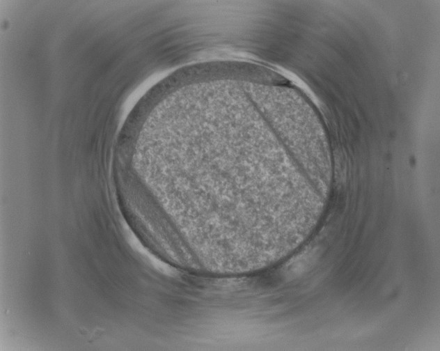 X0000071761387200607282137