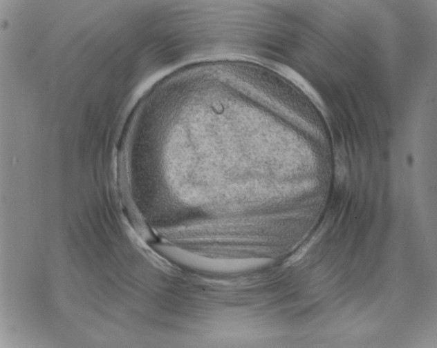 X0000071761388200607282137