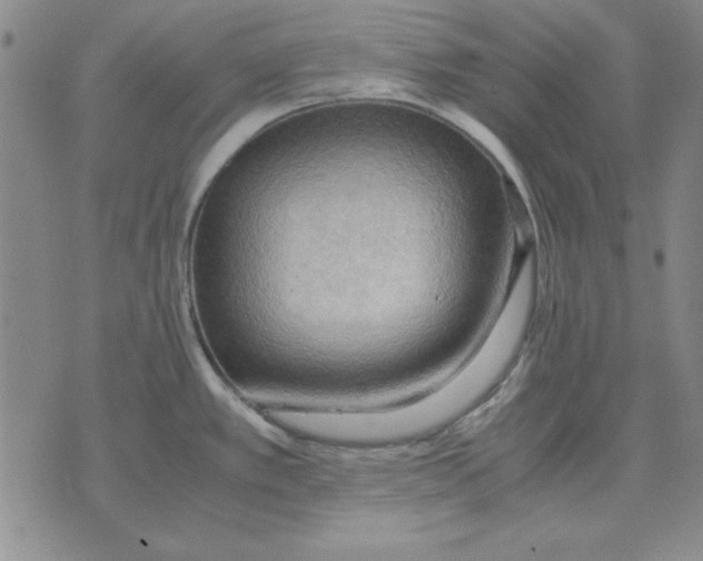 X0000071761389200607282137