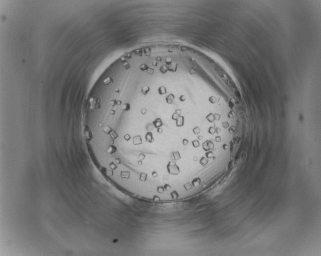 X0000071761390200607282137