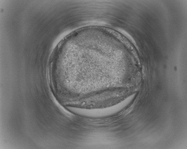 X0000071761391200607282137