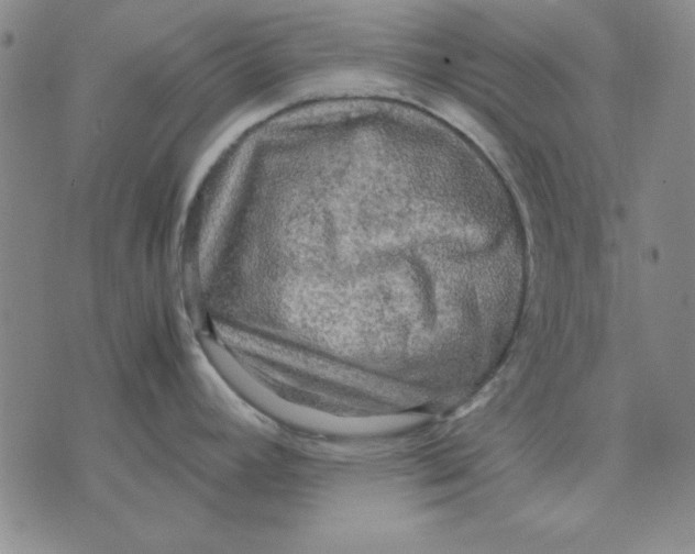 X0000071761392200607282137