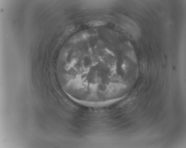 X0000071761393200607282136