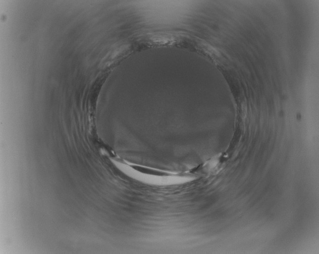 X0000071761394200607282136