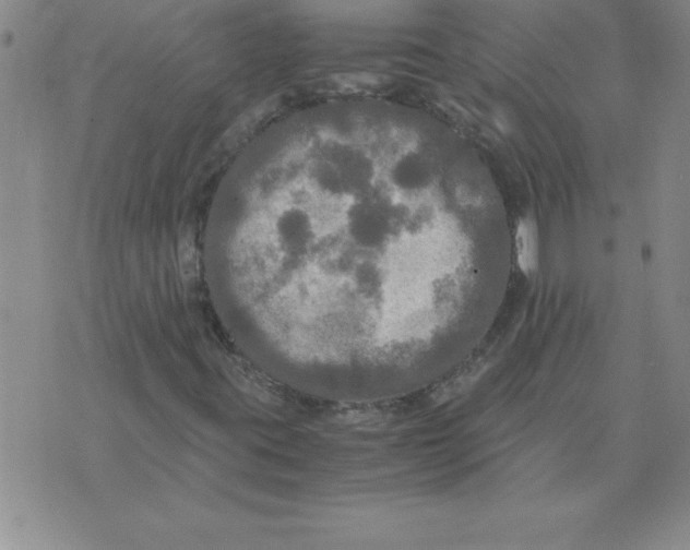 X0000071761395200607282136