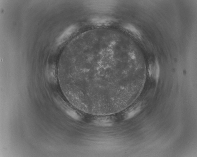 X0000071761396200607282136