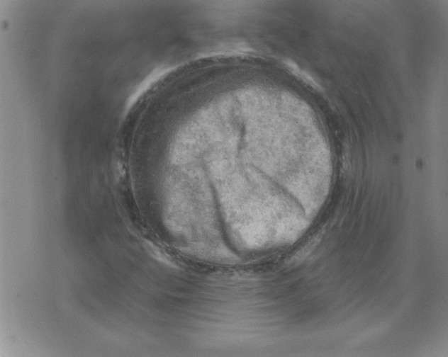 X0000071761400200607282136