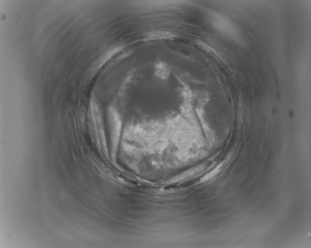 X0000071761401200607282136