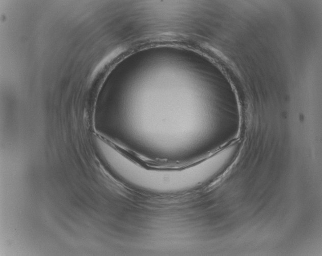 X0000071761402200607282136