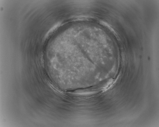 X0000071761403200607282136