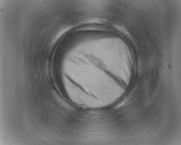 X0000071761404200607282136