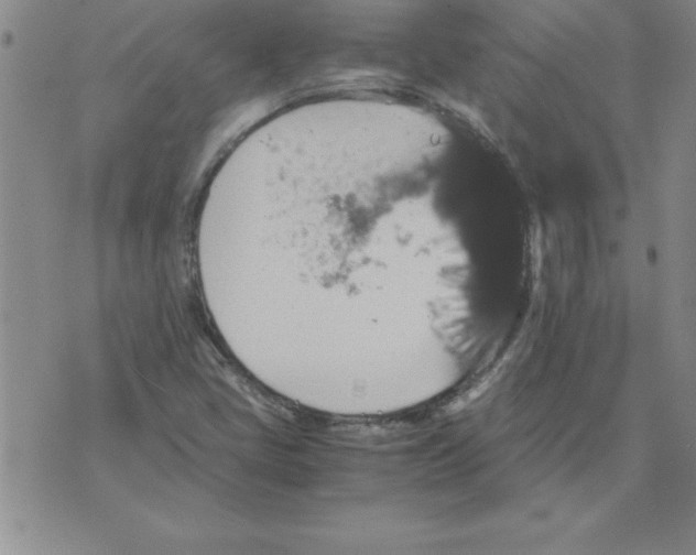 X0000071761405200607282136