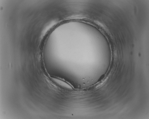 X0000071761406200607282136