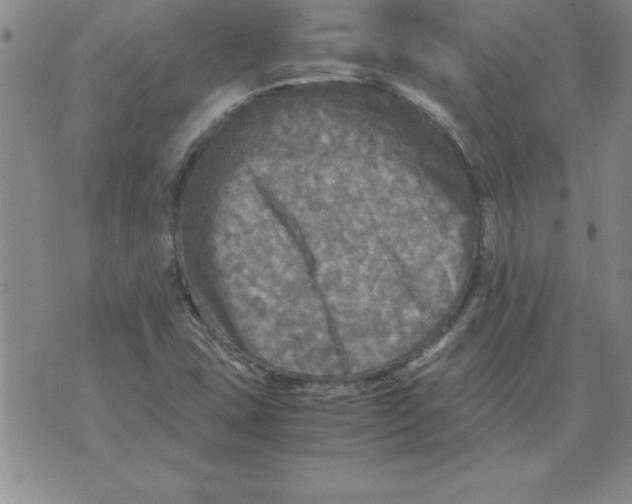 X0000071761407200607282136