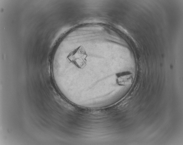 X0000071761408200607282136