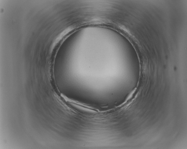 X0000071761410200607282136