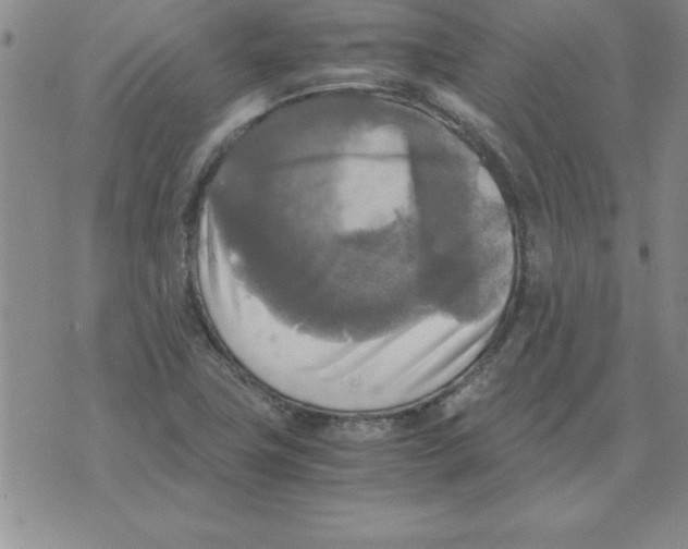 X0000071761411200607282136