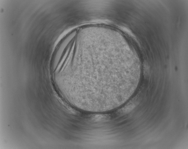 X0000071761412200607282136