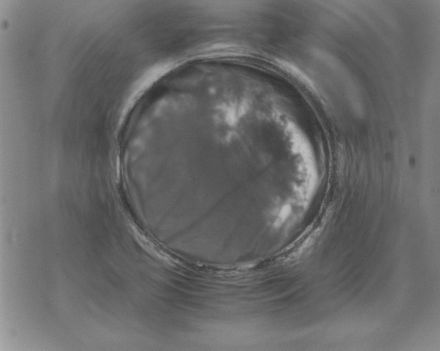 X0000071761413200607282136