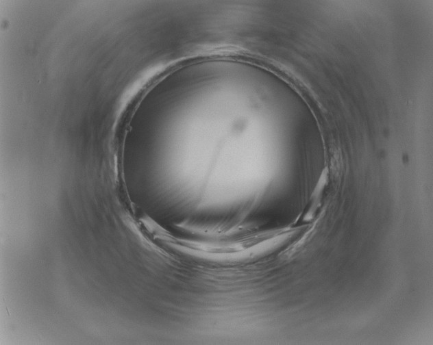 X0000071761414200607282136