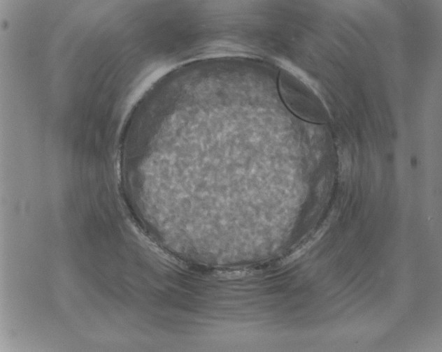 X0000071761415200607282136