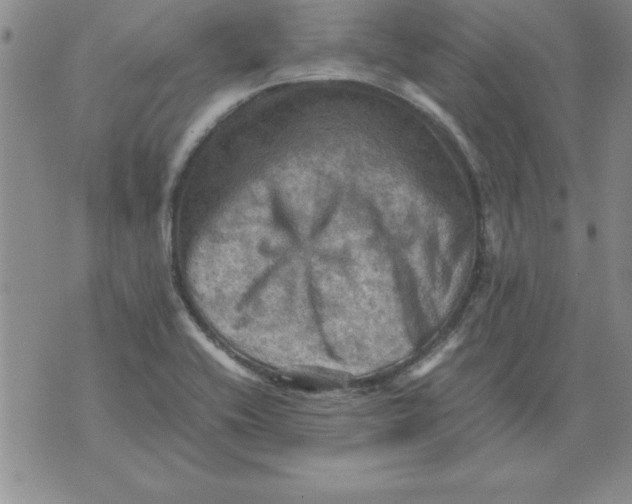 X0000071761416200607282136