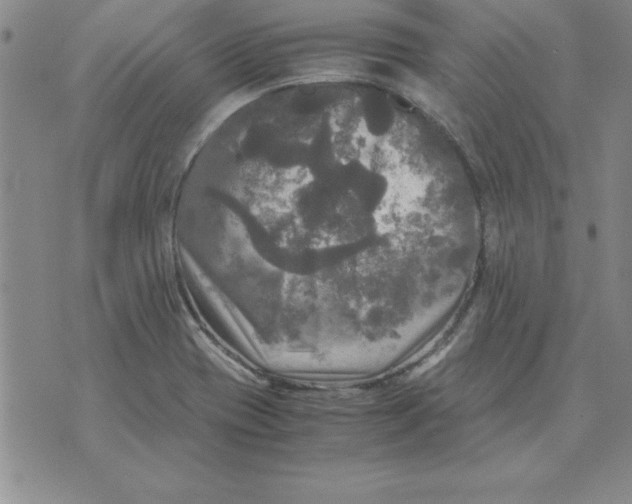 X0000071761417200607282136