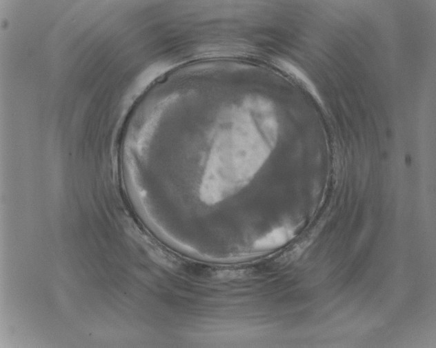 X0000071761419200607282136