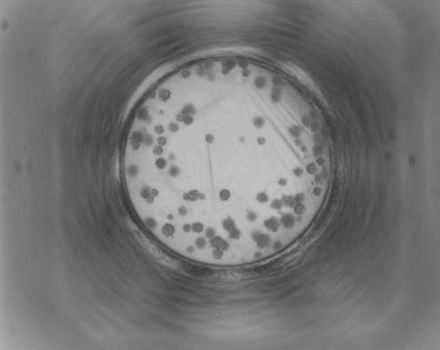 X0000071761420200607282136