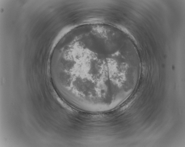 X0000071761421200607282136