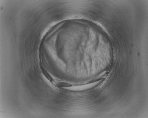 X0000071761422200607282136